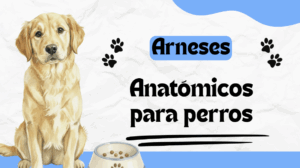 arnés anatómico para perros