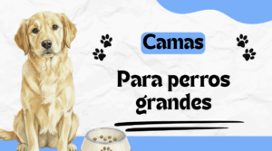 cama de perro grande