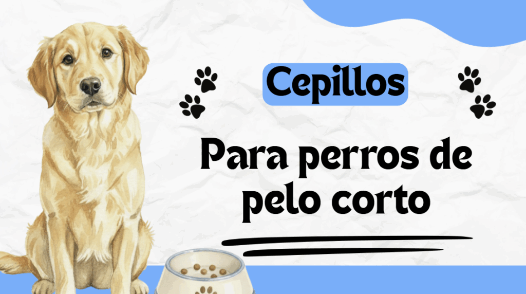 Mantén el pelaje brillante con un cepillo para perros de pelo corto fácil de usar y eficaz