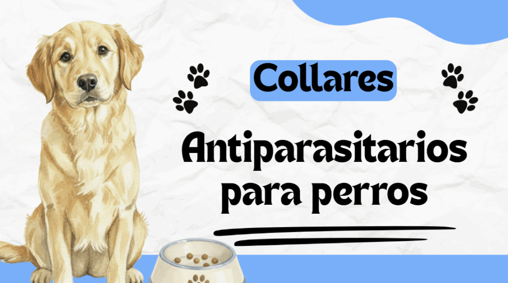 Protege a tu mascota con collares antiparasitarios para perros eficaces y duraderos