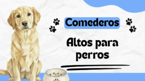 comederos altos para perros