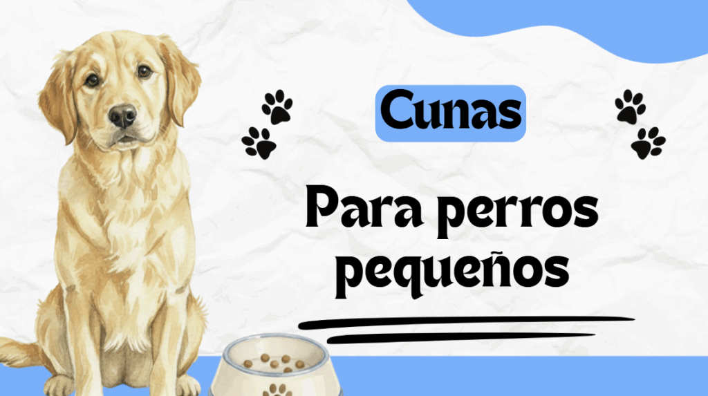 Haz que tu mascota descanse mejor con cunas para perros pequeños suaves y acogedoras