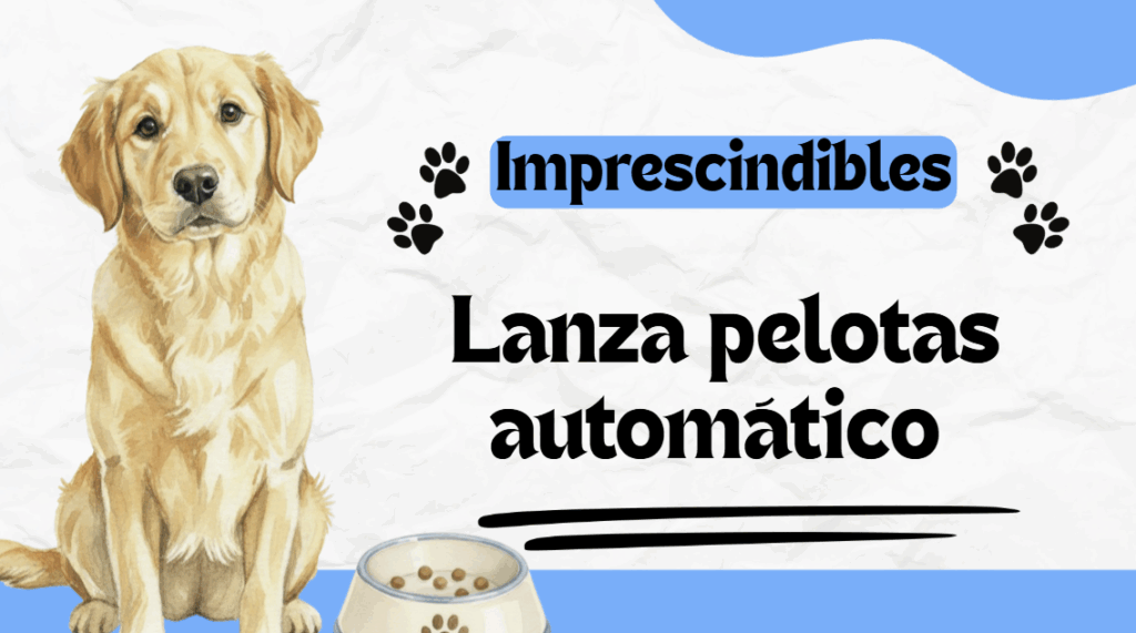 Divierte a tu mascota con una lanza pelotas para perro automático que mantiene el juego sin parar