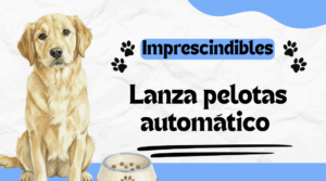 lanza pelotas perro automático