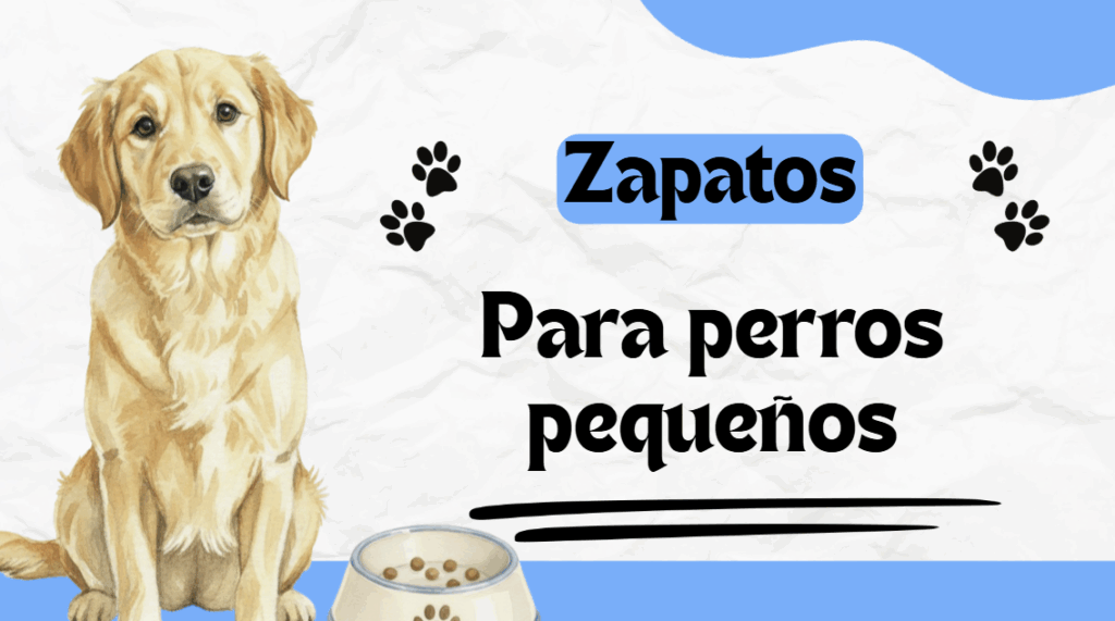 Protege sus patitas con zapatos para perros pequeños cómodos y ligeros