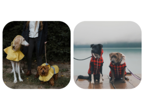 Comparativa de chubasqueros para perro tipo capa y tipo chaleco.