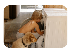 Guía visual de limpieza y mantenimiento de cama para perros